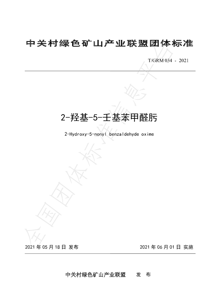 T/GRM 034-2021 标准预览