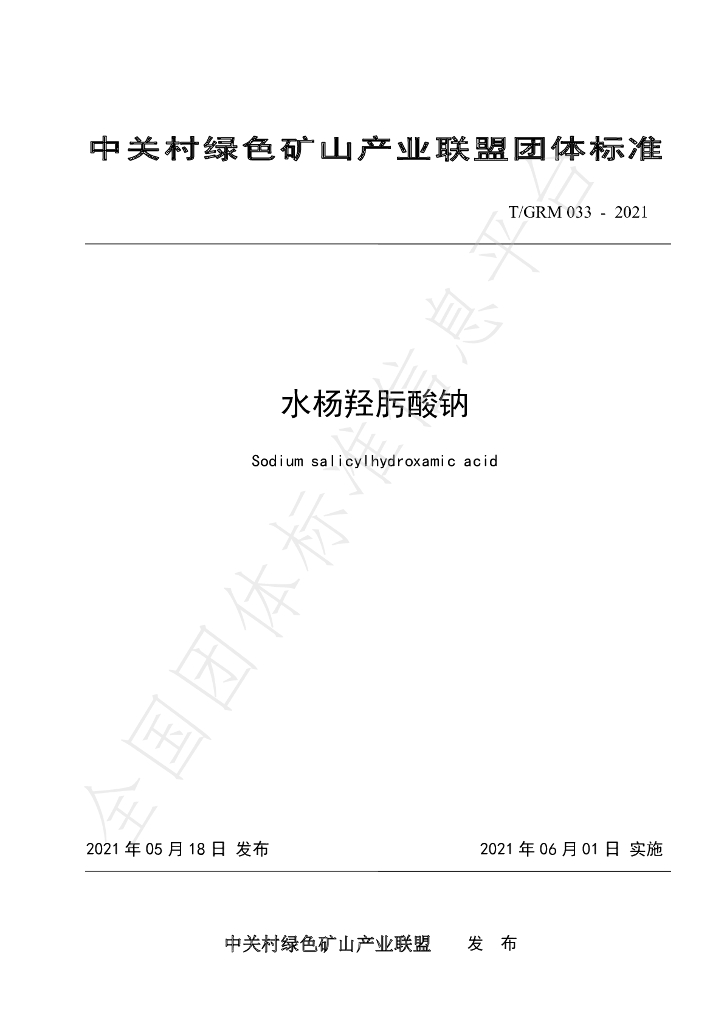 T/GRM 033-2021 标准预览