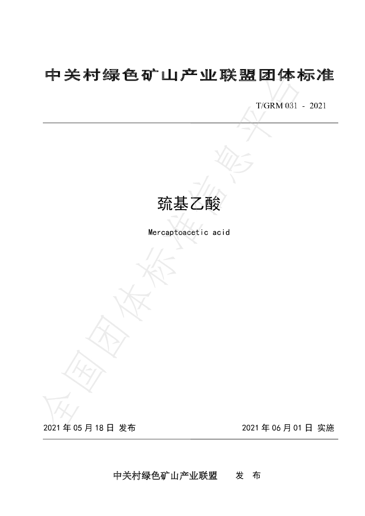 T/GRM 031-2021 标准预览