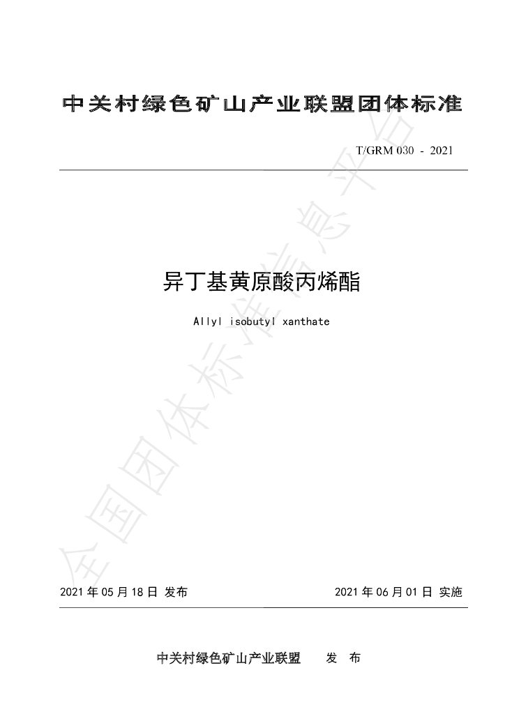 T/GRM 030-2021 标准预览