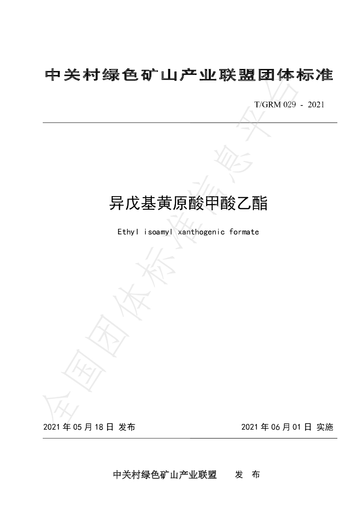 T/GRM 029-2021 标准预览