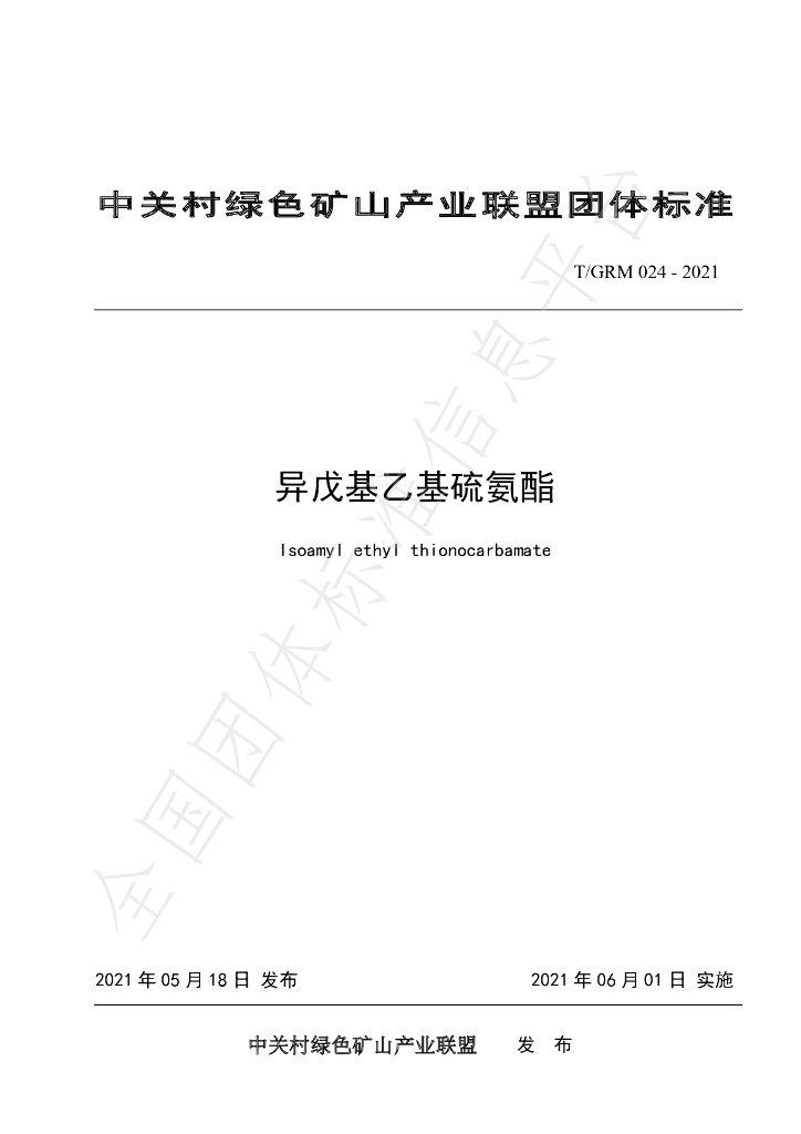 T/GRM 024-2021 标准预览