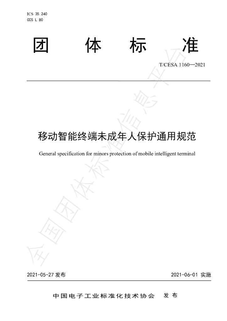 T/CESA 1160-2021 标准预览