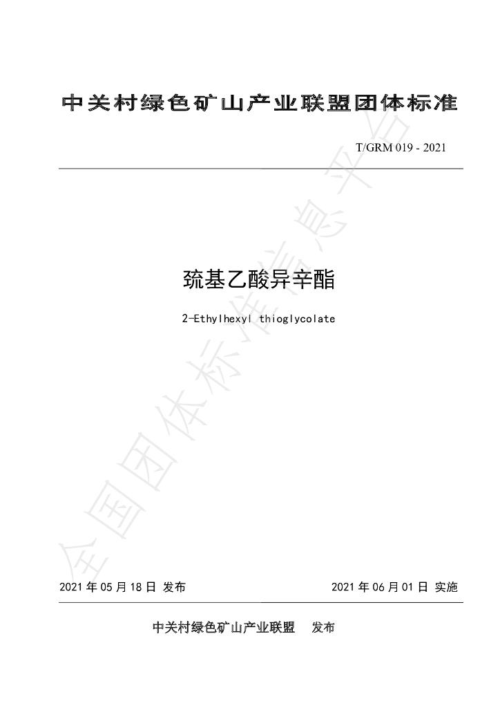 T/GRM 019-2021 标准预览