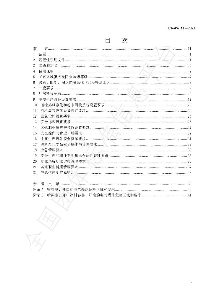 T/NAPA 11-2021 标准预览