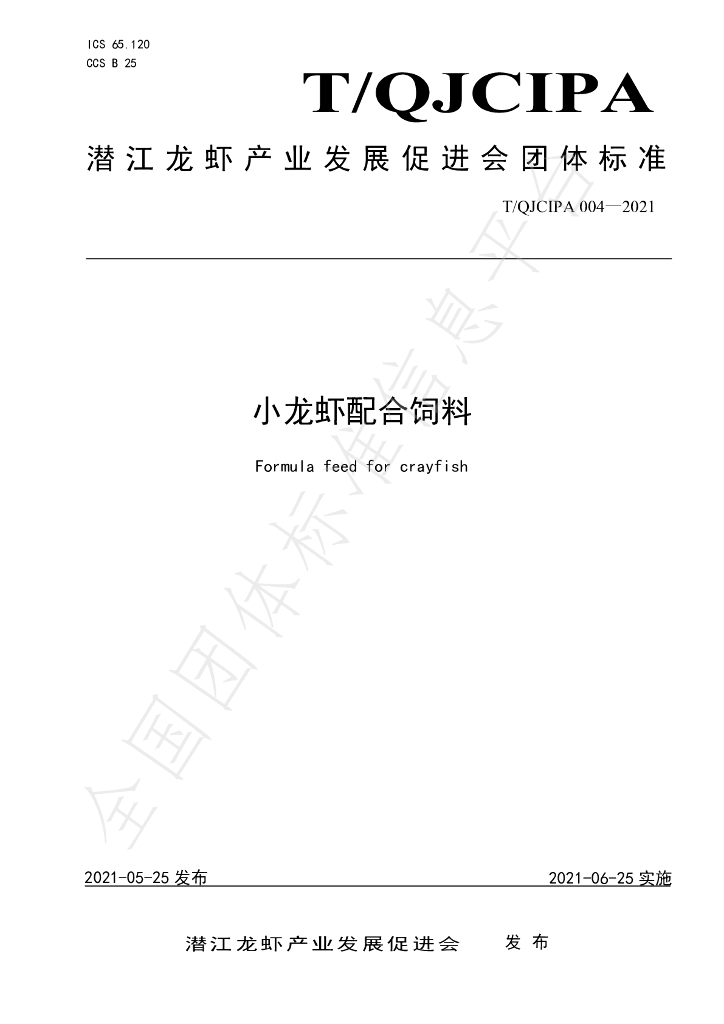 T/QJCIPA 004-2021 标准预览