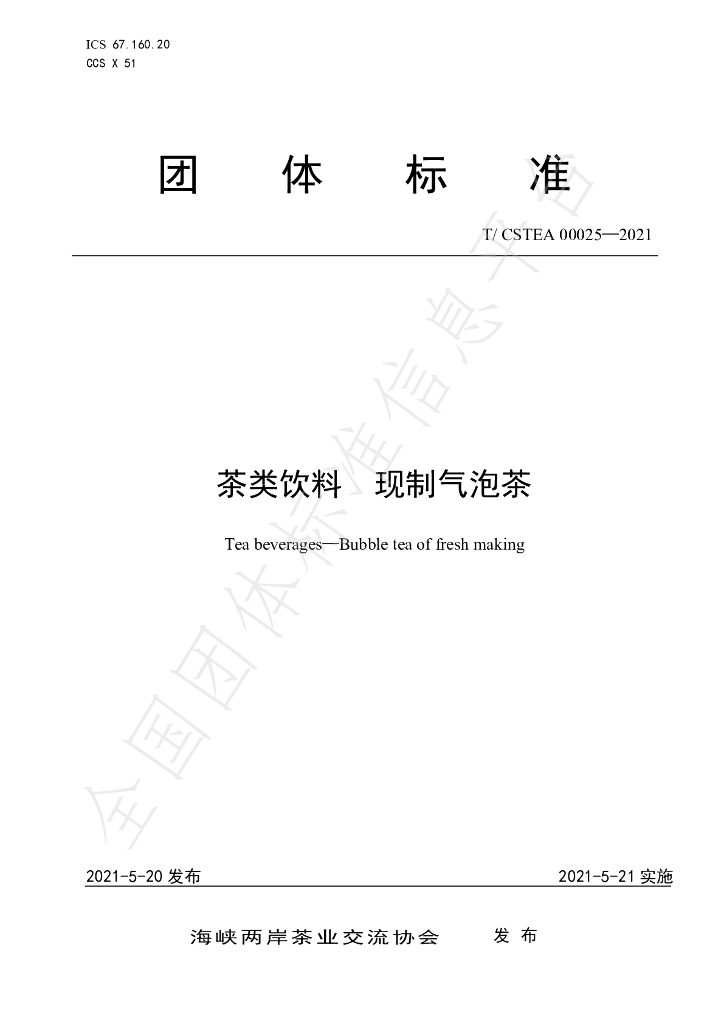 T/CSTEA 00025-2021 标准预览