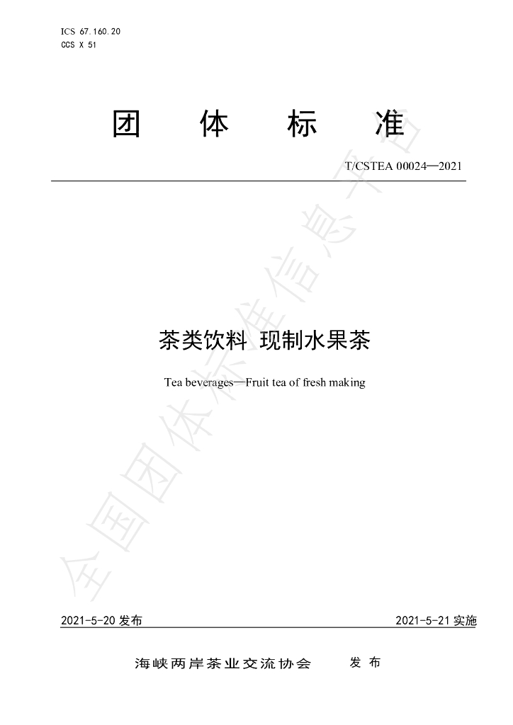 T/CSTEA 00024-2021 标准预览