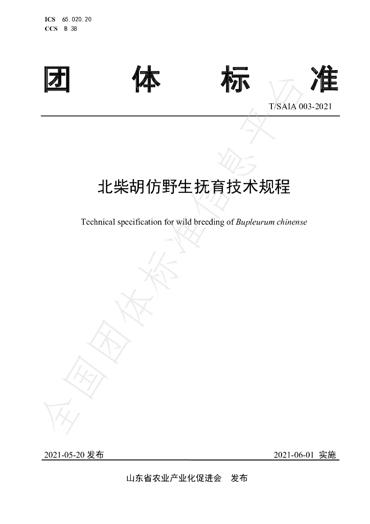 T/SAIA 003-2021 标准预览