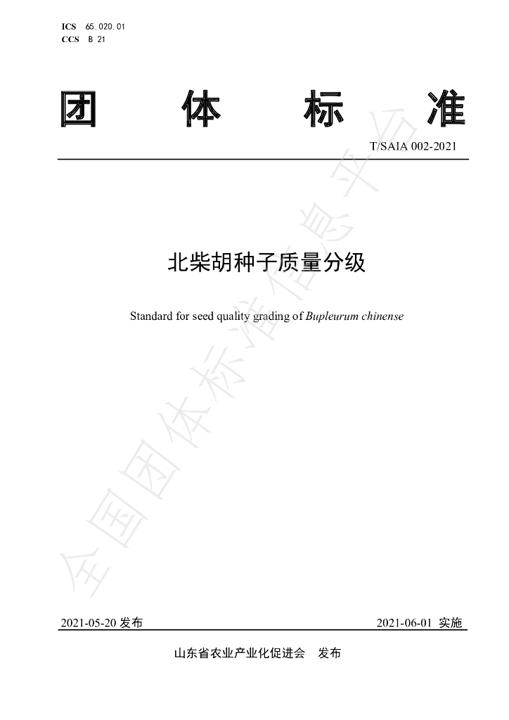 T/SAIA 002-2021 标准预览