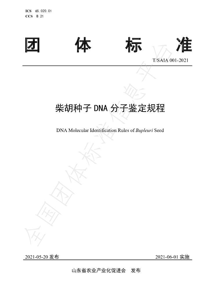 T/SAIA 001-2021 标准预览