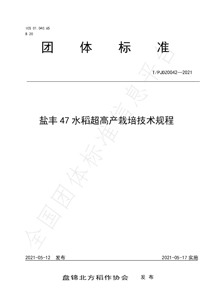 T/PJDZ 0042-2021 标准预览