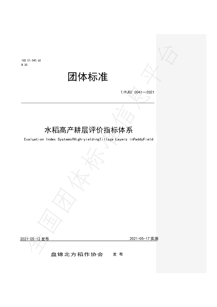 T/PJDZ 0041-2021 标准预览