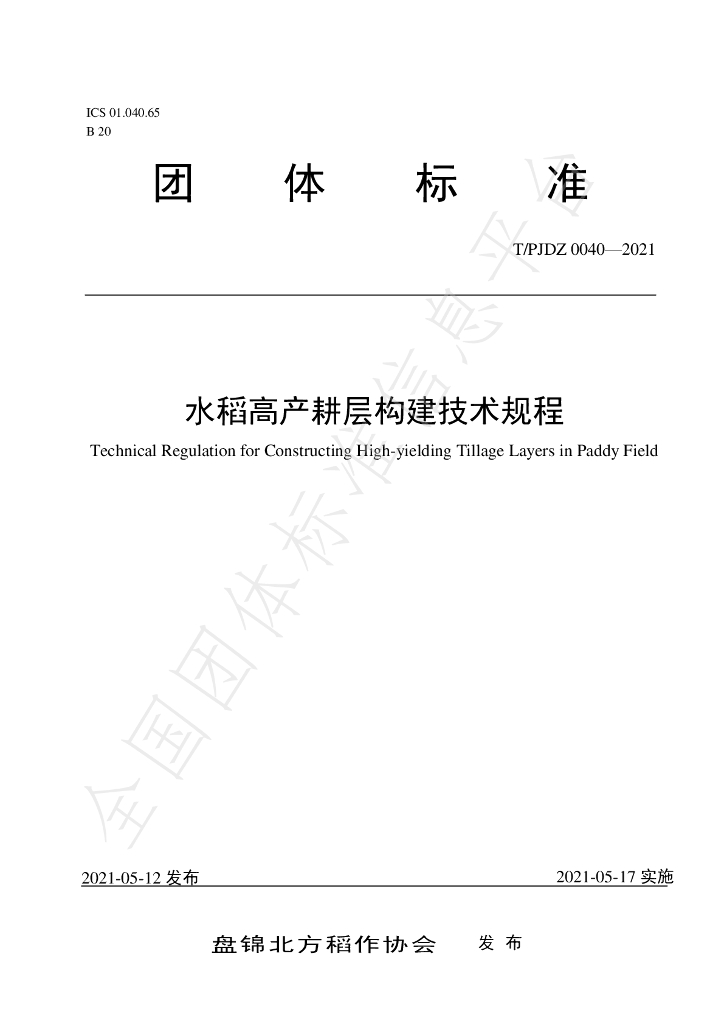 T/PJDZ 0040-2021 标准预览