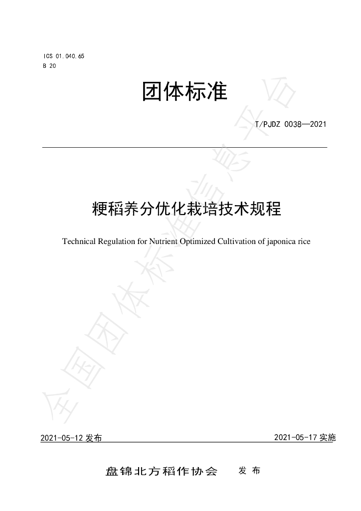 T/PJDZ 0038-2021 标准预览
