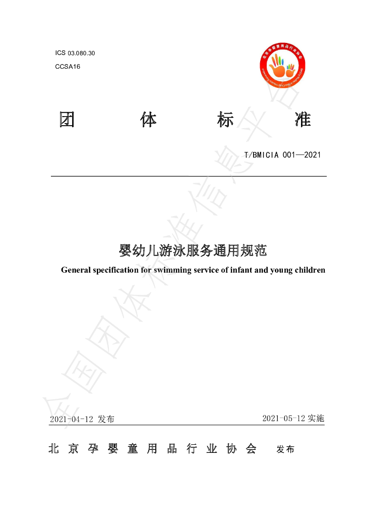T/BMICIA 001-2021 标准预览