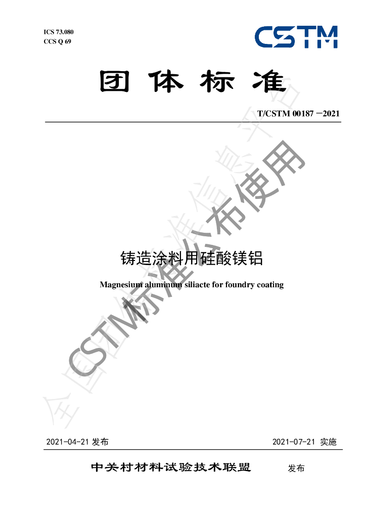 T/CSTM 00187-2021 标准预览
