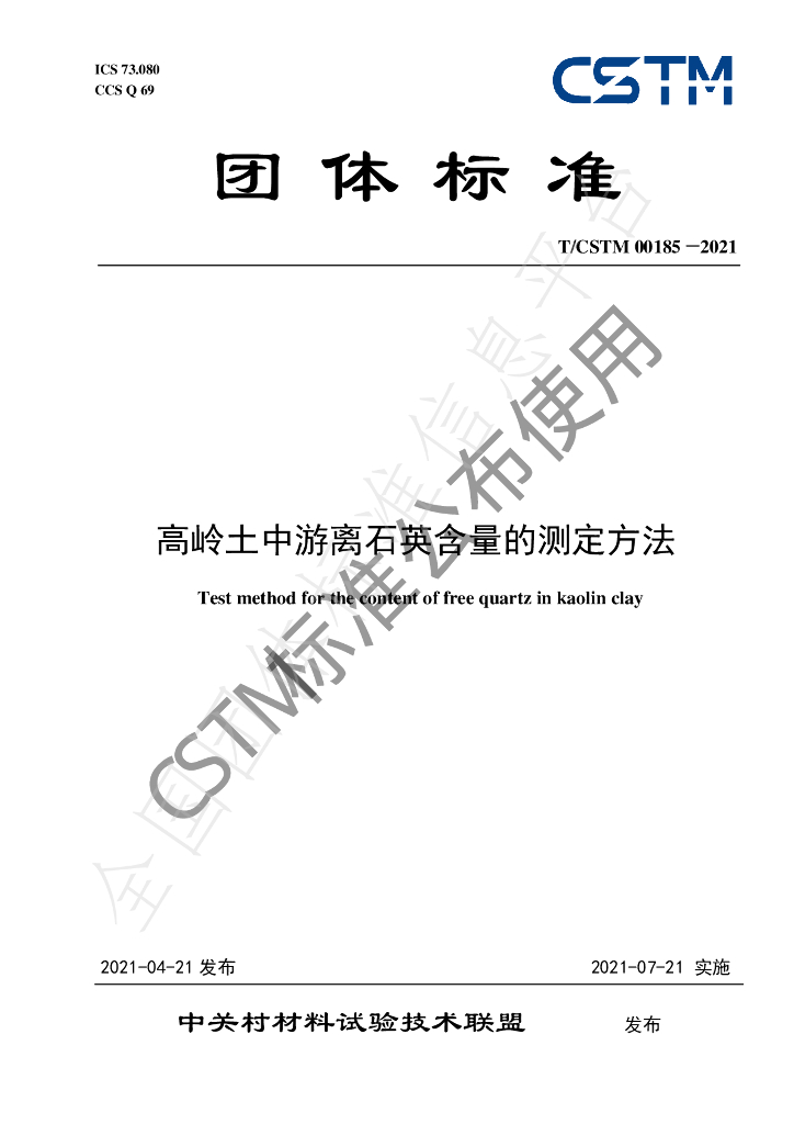T/CSTM 00185-2021 标准预览