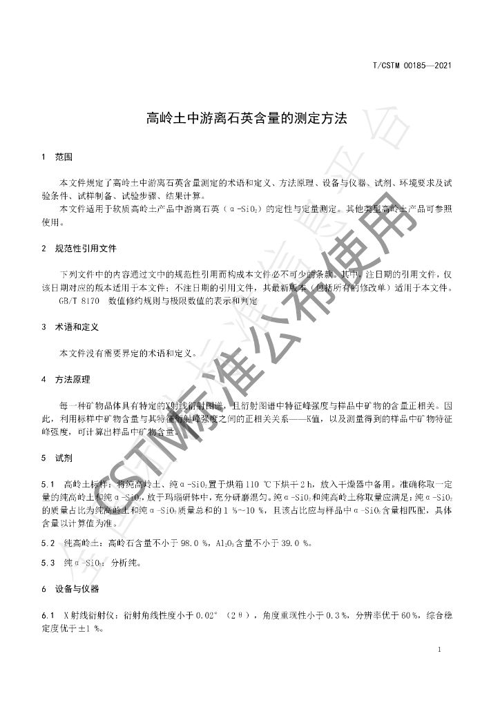 T/CSTM 00185-2021 标准预览