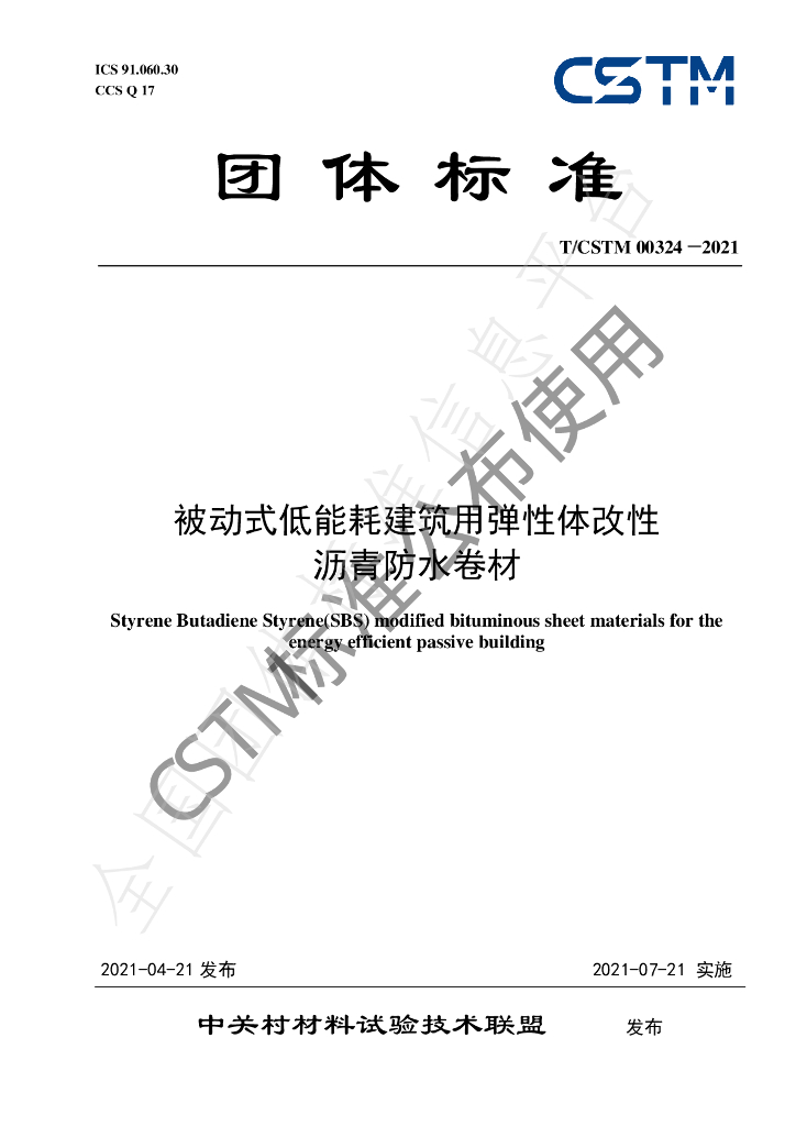 T/CSTM 00324-2021 标准预览