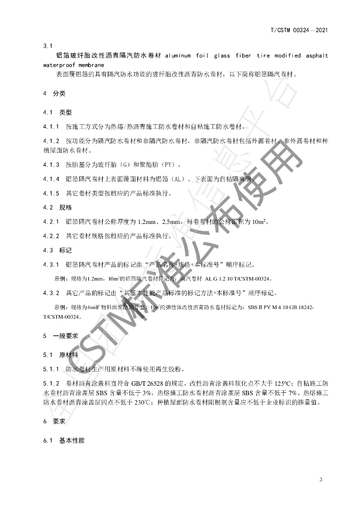 T/CSTM 00324-2021 标准预览