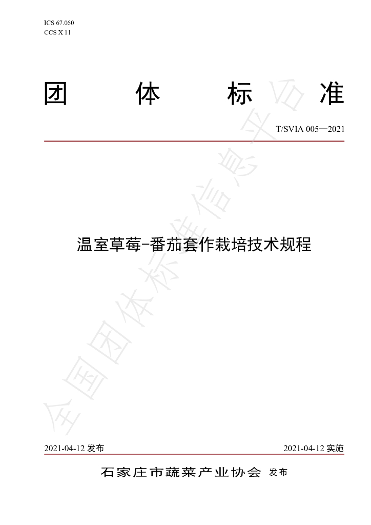 T/SVIA 005-2021 标准预览