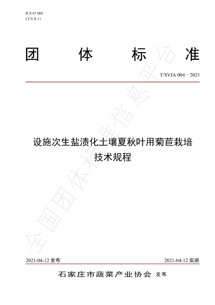 T/SVIA 004-2021 标准预览