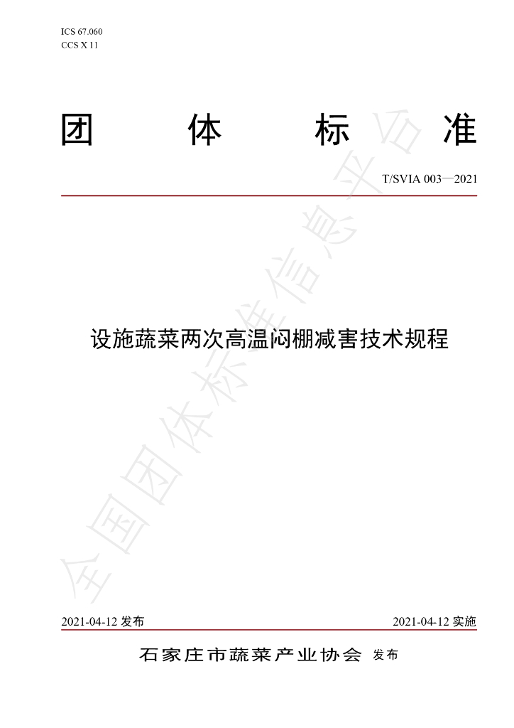T/SVIA 003-2021 标准预览
