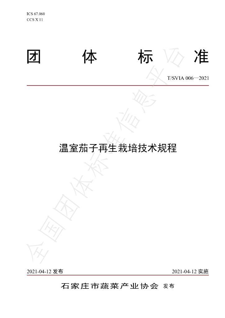 T/SVIA 006-2021 标准预览