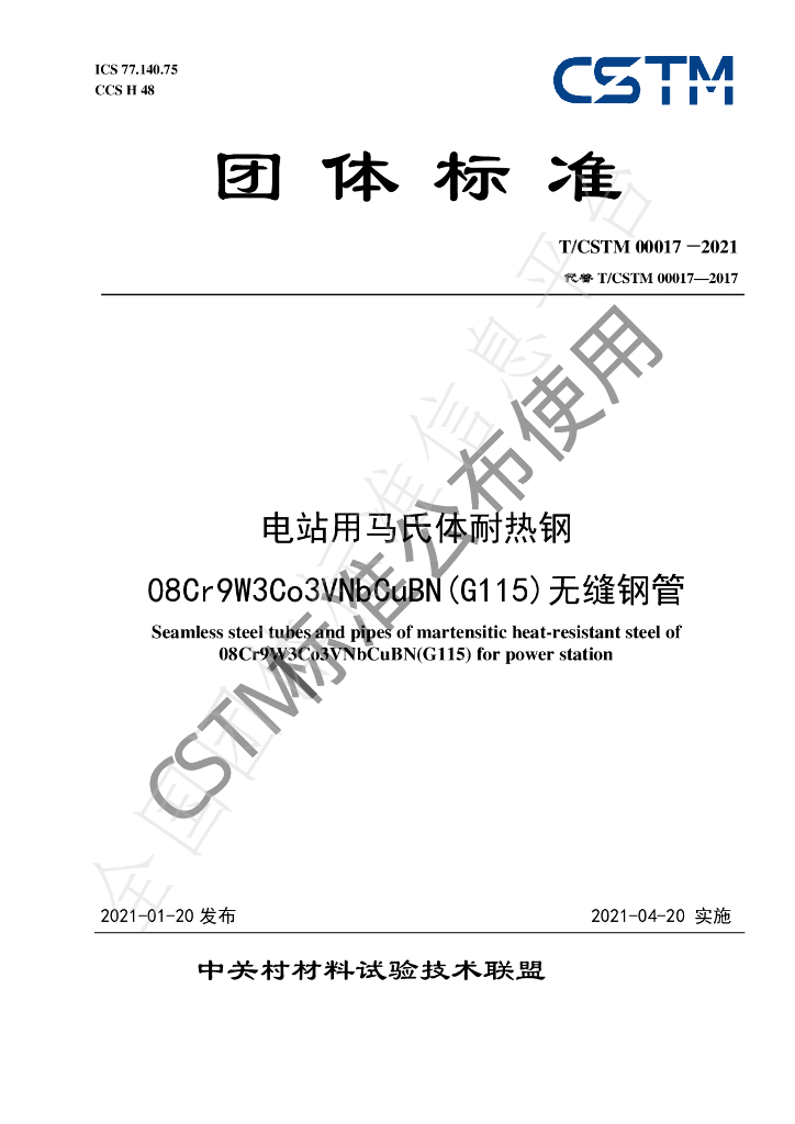 T/CSTM 00017-2021 标准预览