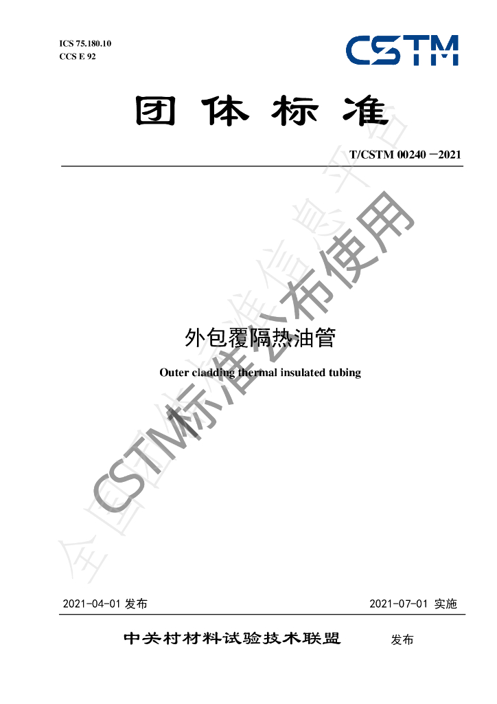 T/CSTM 00240-2021 标准预览