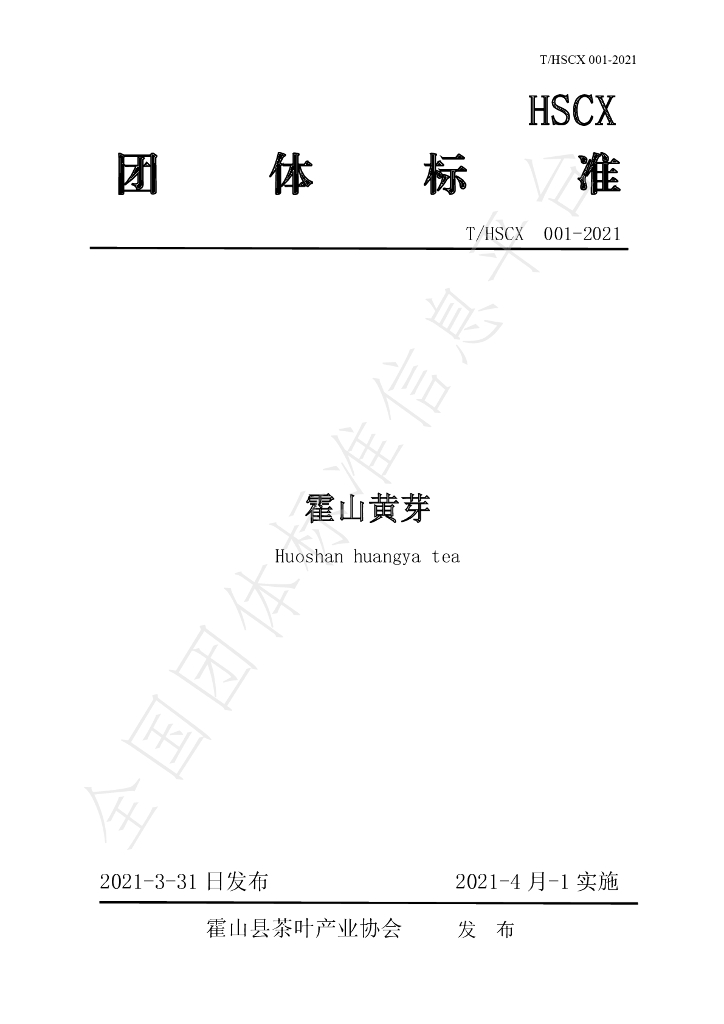 T/HSCX 001-2021 标准预览