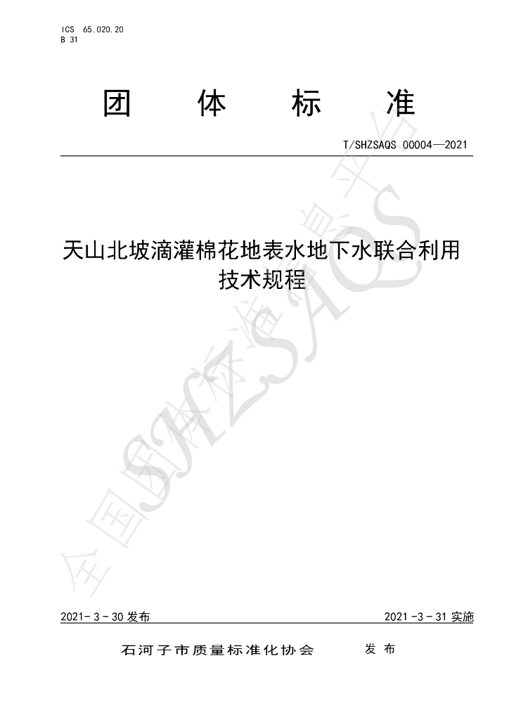 T/SHZSAQS 00004-2021 标准预览