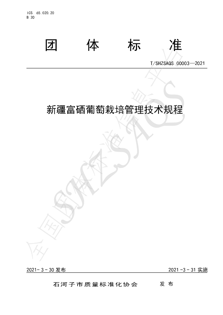 T/SHZSAQS 00003-2021 标准预览