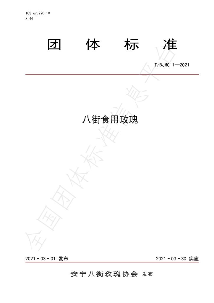 T/BJMG 1-2021 标准预览