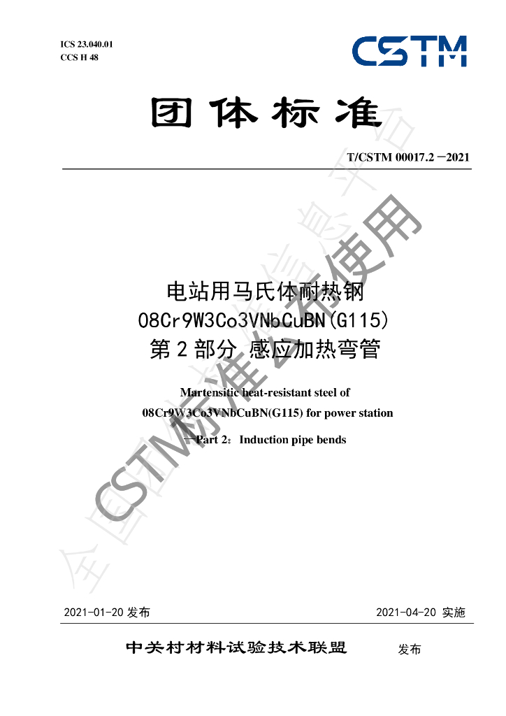 T/CSTM 00017.2-2021 标准预览
