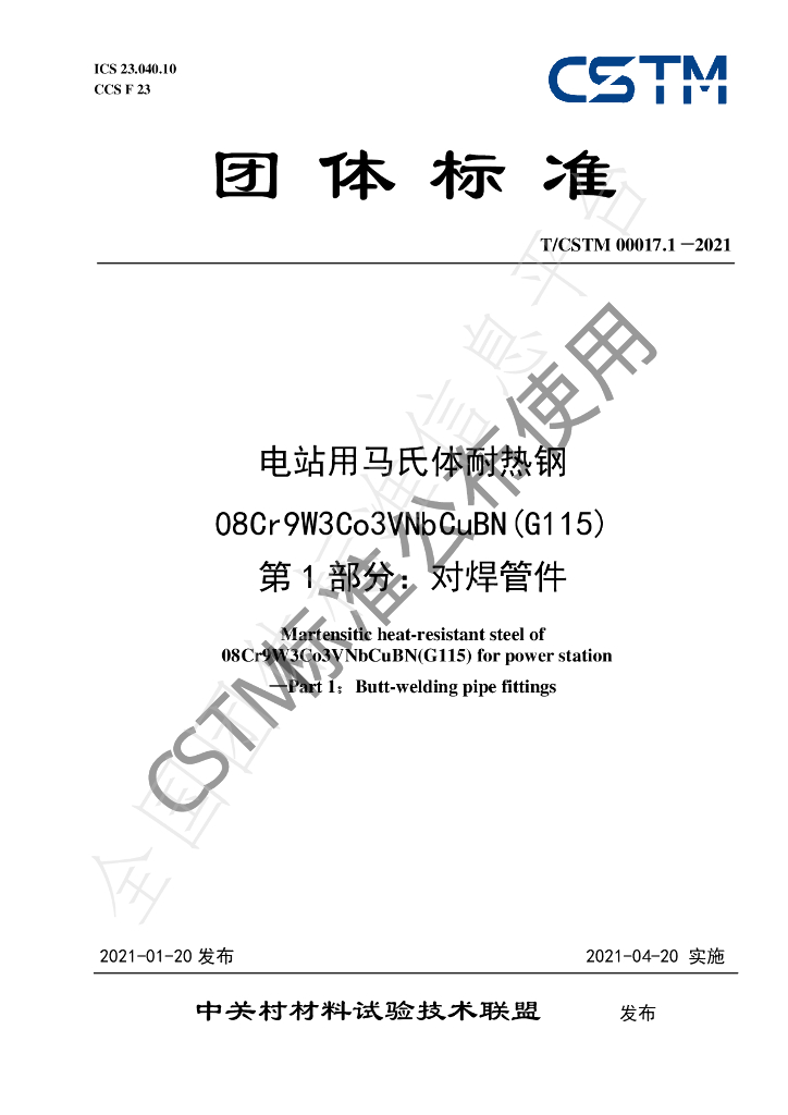 T/CSTM 00017.1-2021 标准预览