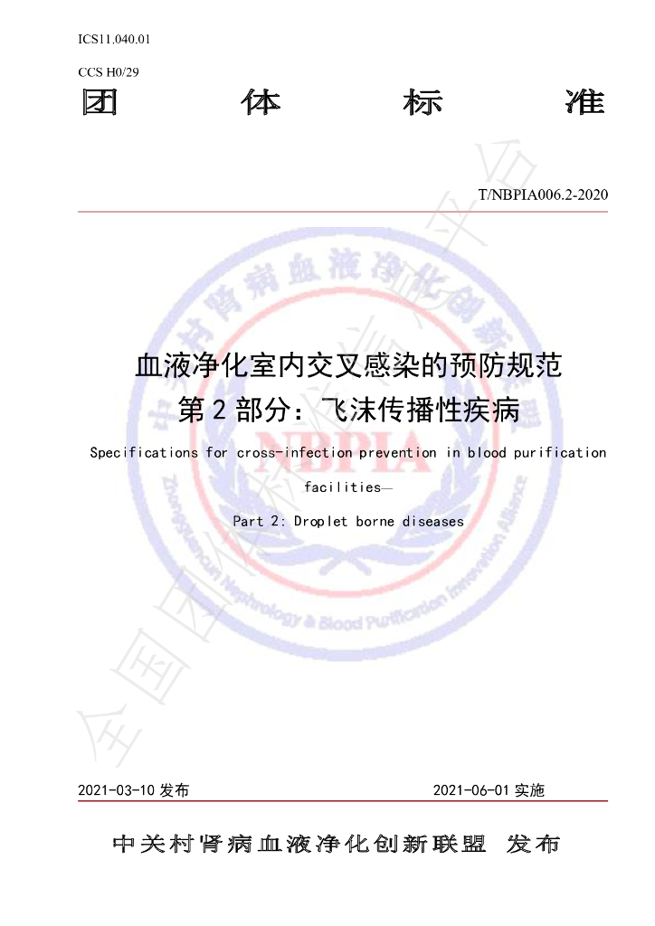 T/NBPIA 006.2-2021 标准预览