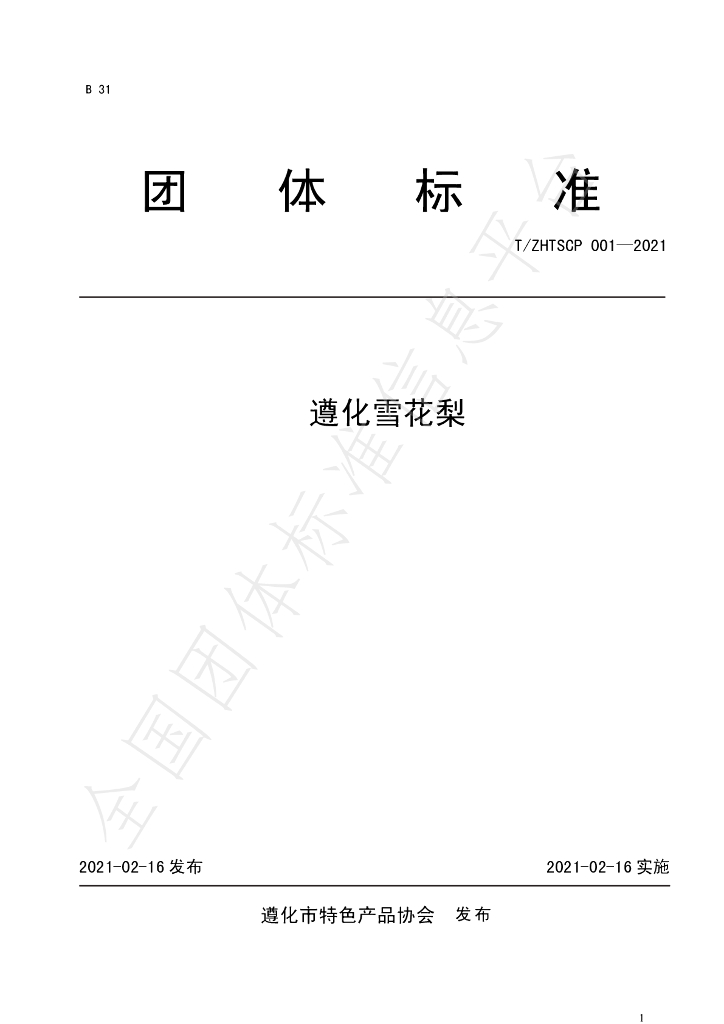 T/ZHTSCP 001-2021 标准预览