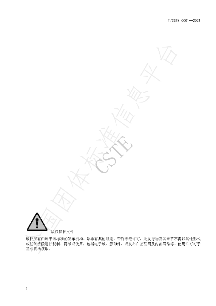 T/CSTE 0001-2021 标准预览