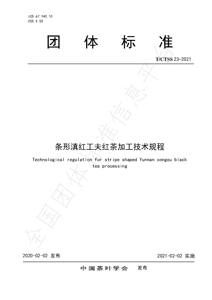 T/CTSS 23-2021 标准预览