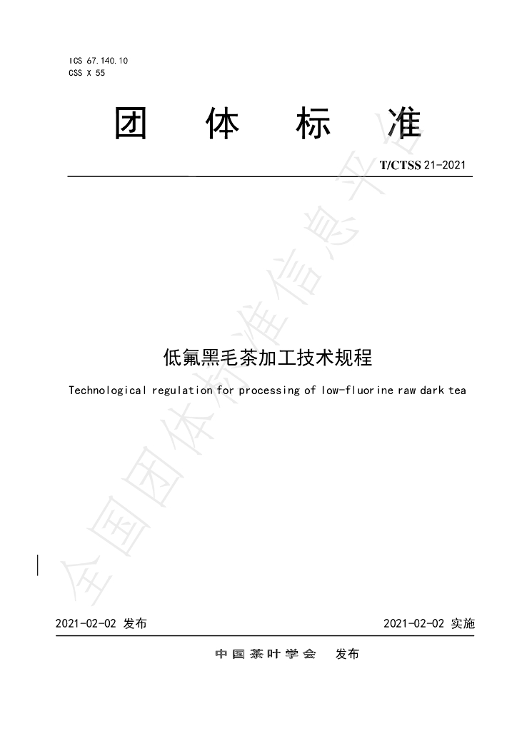 T/CTSS 21-2021 标准预览