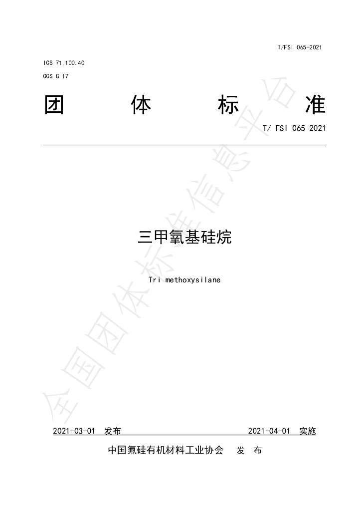 T/FSI 065-2021 标准预览