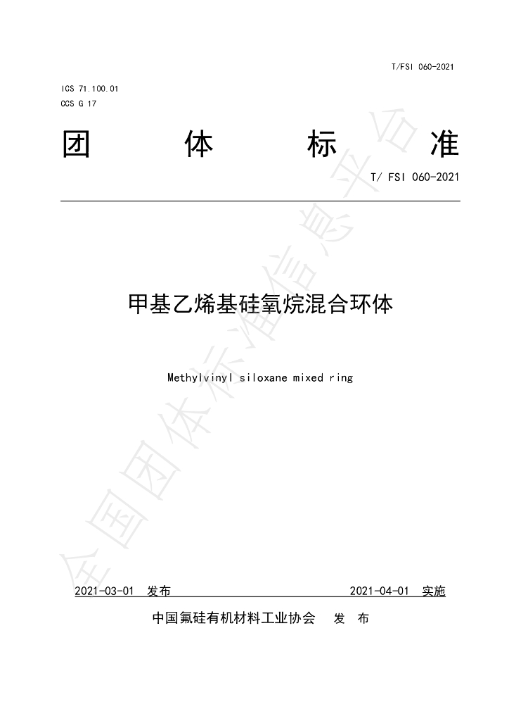 T/FSI 060-2021 标准预览