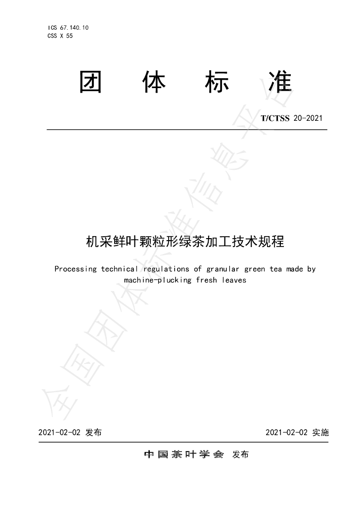 T/CTSS 20-2021 标准预览