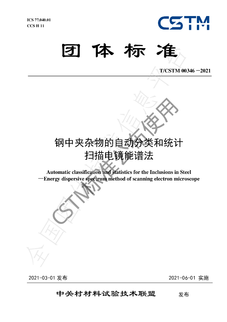 T/CSTM 00346-2021 标准预览