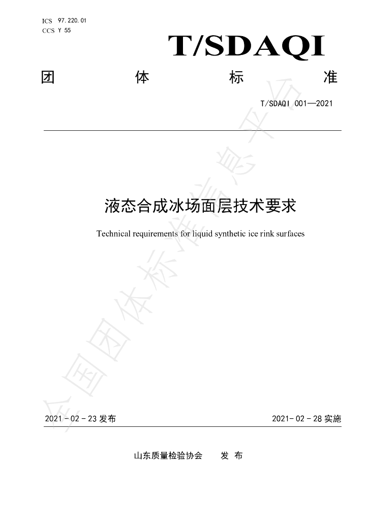 T/SDAQI 001-2021 标准预览