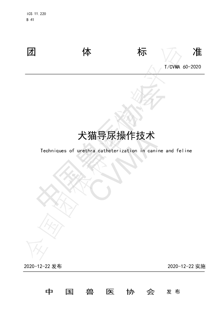 T/CVMA 60-2020 标准预览