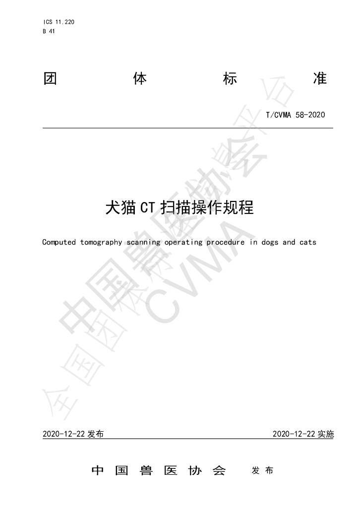 T/CVMA 58-2020 标准预览
