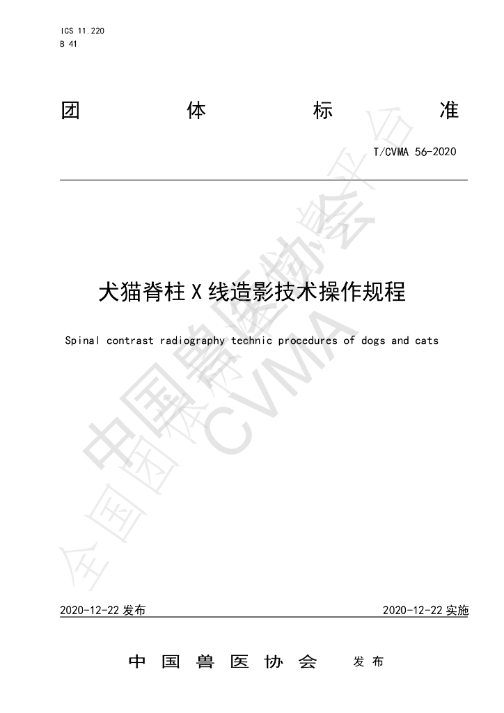 T/CVMA 56-2020 标准预览